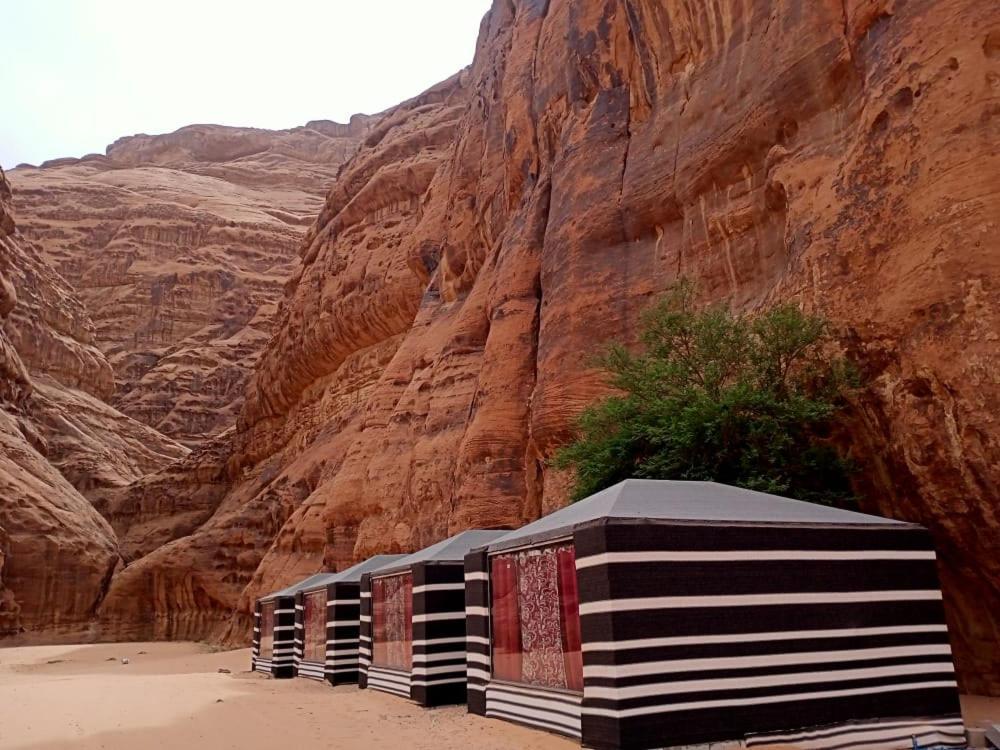 Shahrazad Desert, Wadi Rum Ngoại thất bức ảnh