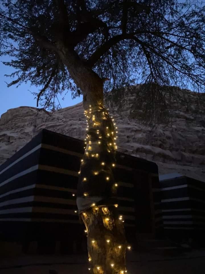 Shahrazad Desert, Wadi Rum Ngoại thất bức ảnh
